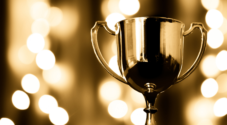 Categories and nominations
