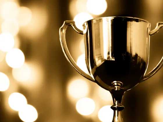 Categories and nominations
